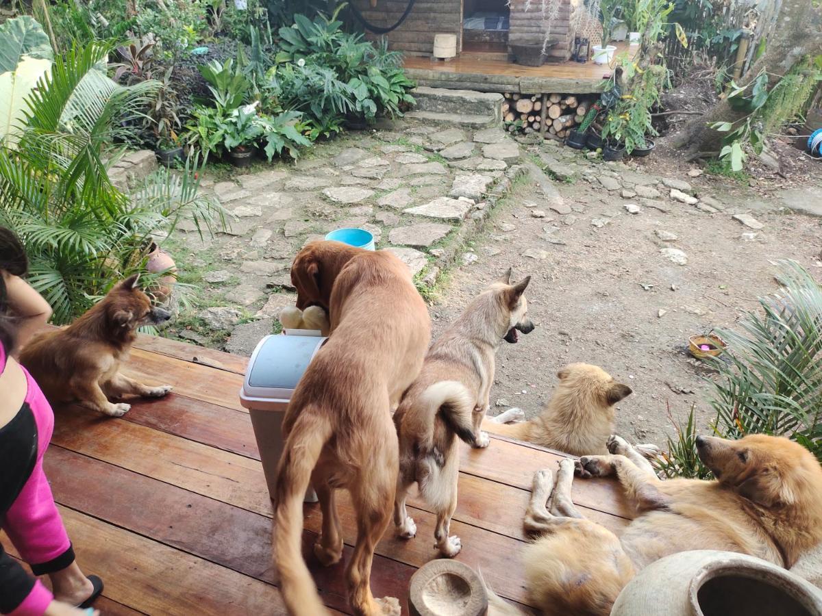 Hotel Payag N' Kapitan, Experience Pinubre Living Siquijor Zewnętrze zdjęcie